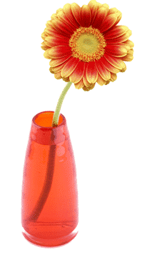 vase