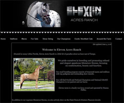11 Acres Ranch