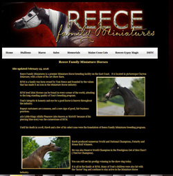 Reece Family Miniatures